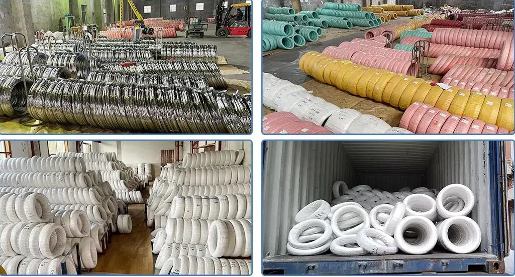 Factory Supplier Galvanized/Alloy/ Stainless Steel 304, 316, 304L, 316L Wire