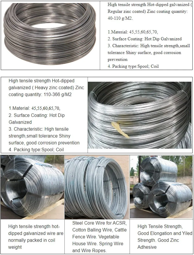 High Carbon Steel Crimped Wire Mesh Hot Rolled Alloy Steel Wire Rod SAE1008 SAE 1022 Cold Drawn Wire