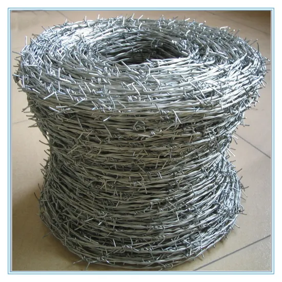 Stainless Steel Barbed Wire with 201 304 310S 316 316L 2X2 Double Welded Iron Metal Ss Inox Spring 304wire Mesh Fence Anti Climb Razor Security Cold Drawn Light